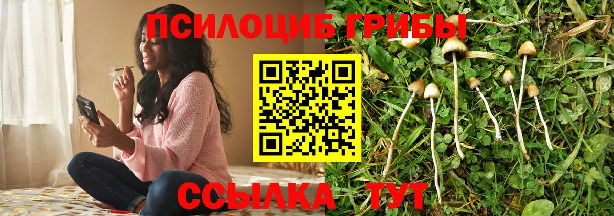 Псилоцибиновые грибы мухоморы  Вход с VPN  Галлюциногенные грибы Cubensis  Балашов 